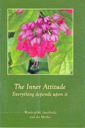 inner-attitude