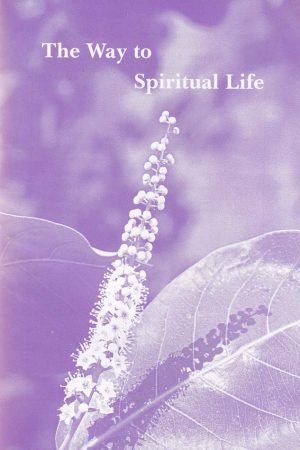 aim-the-way-to-spiritual-life-book-cover