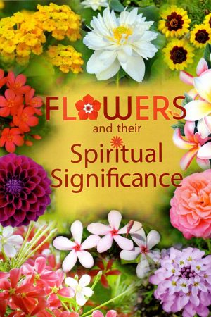 flowers-and-their-spiritual-significance-the-mother
